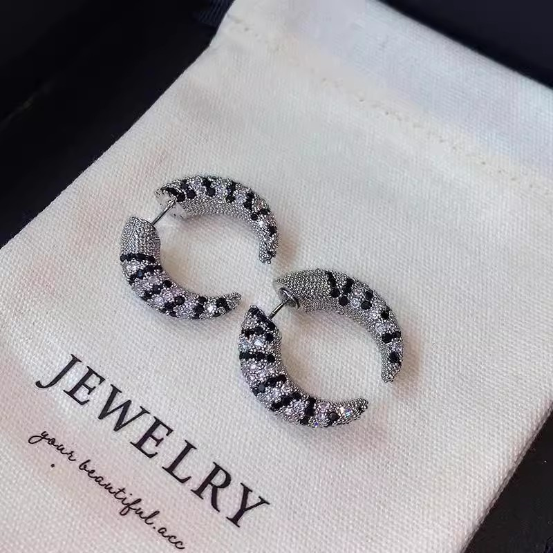 Vintage Voor Achter Zirkoon Ho - Street Fashion Earrings recensie en prijs